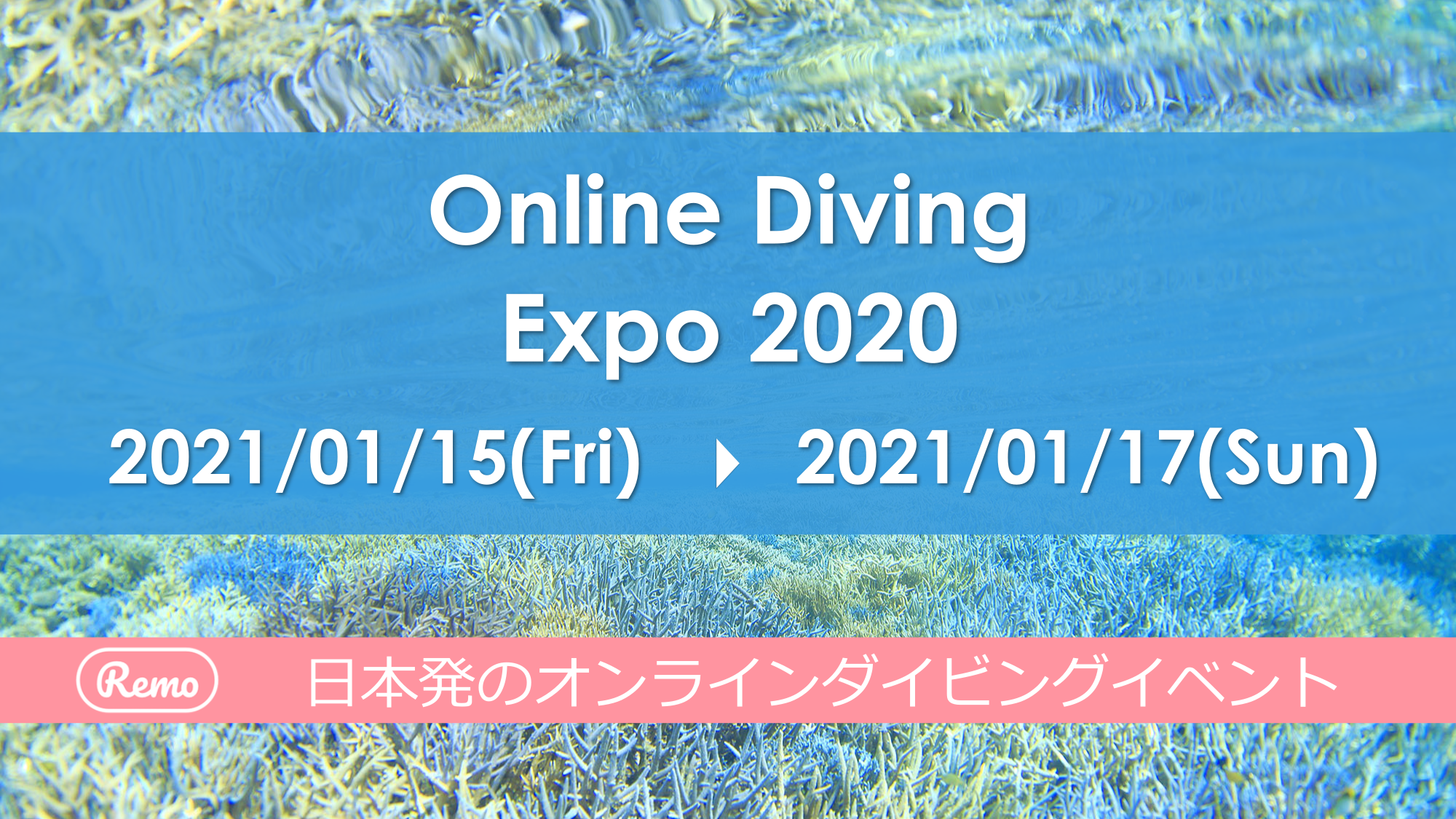 Online Diving EXPO 2020 最終日！