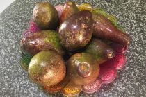 大量のアボカド?