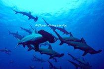 神子元へ行きます♪