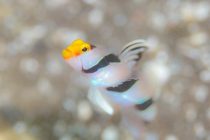 海は何処だって楽しいね～♪