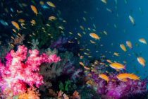 ちょっくら海外へ⭐