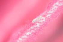 COLORFULな大瀬崎♪