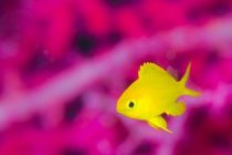 大人になったなぁ。