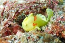 きーちゃん可愛いなぁ（＾＾）