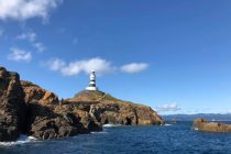 神子元ダイビング♪