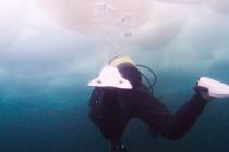 流氷ダイビングツアーのお知らせ！！！