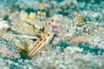 カメラ合宿スタート♪