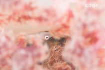 血糖値上昇！！