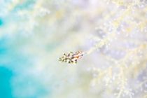 メルヘン合宿 in 富戸クローバー?