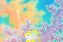 嬉しいのだけど・・・