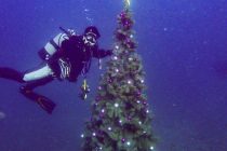 これからの海を楽しむためにも♪