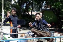 セブ便り⭐水中クリーンナップ活動（＾＾）