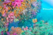 ３連休スタート♪