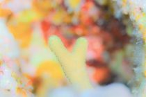 沖縄の海から💓