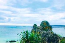 ゴリラチョップ🦍