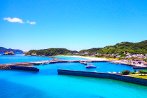 ２０２０年締めくくりダイビングは阿嘉島で（＾＾）