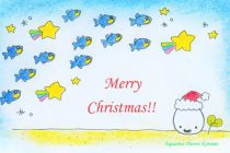 水中からメリークリスマス🌟