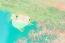 自然と笑顔に😄