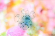 笑顔になれる海♪沖縄！