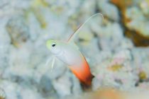 撮りたくなってしまうコ！