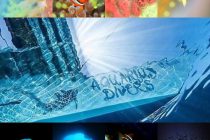 今晩からOnlineDivingEXPO2020スタート！