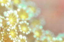 ポカポカ陽気。