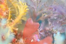 もうすぐバレンタイン💓