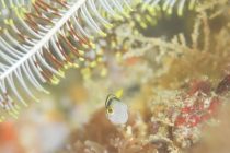 ハンドルを握れないっ！