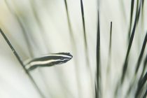 丸顔の可愛いコ♪