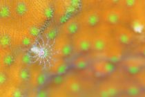 誘惑の多い季節🍫💕