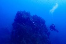 久々の大瀬崎♪