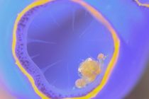 ウズウズ。。。