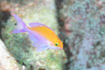 キュンキュンするひと時💛