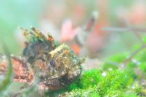 ハートみっけ💖