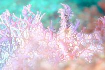 ボロボロをキラキラに✨✨