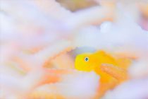 体調管理しっかりと。