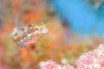 新年度！笑顔の１年になりますように（＾＾＊）