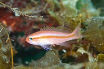 大瀬楽しすぎ♪