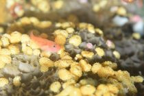 改めて思うこと。