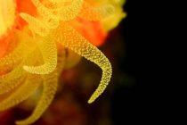 獅子浜ダイビング～！！！！