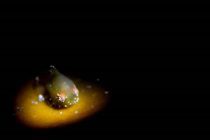 スヌート団子🍡