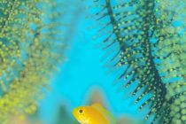 青空ですね～♪