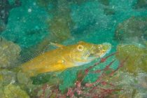 城ケ島でした♪