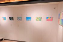 茂野優太さんの水中写真展『piece of colors』