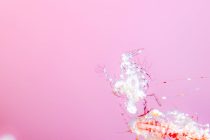 ハウスリーフでダイビング♪