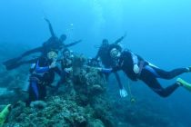 再び女神様のいる海へ♪