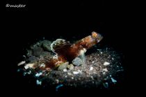 メルヘン＆ガッチリ。