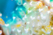 日本での自主隔離13日目！