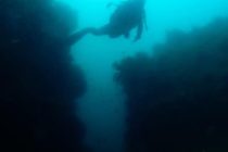 大瀬ボートが面白いっ🚤✨✨