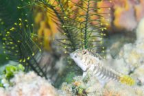 日本での自主隔離14日目！最終日